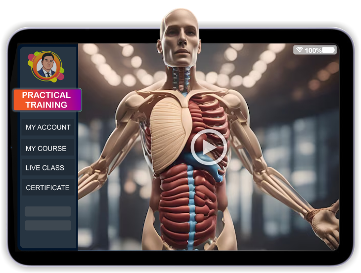 human body anatomy.png